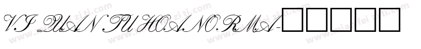 VI Quan Tu Hoa Norma字体转换